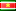 Flagge von Surinam